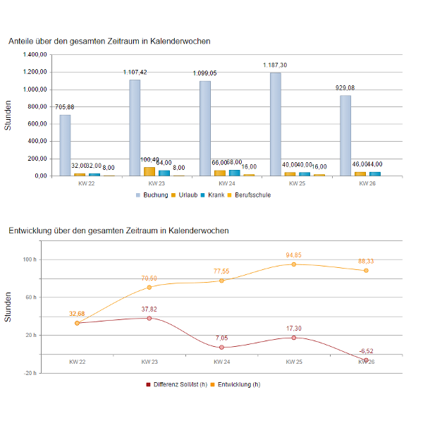 ZESy® Auswertung 2